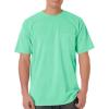 Island Reef Dirdye