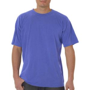 imageComfort Colors Adult Short Sleeve Tee Style G1717Flo Blue Pgmdye
