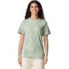 imageComfort Colors Adult Heavyweight Short Sleeve Tee Style G1717G1745 MultipackFern 2pack