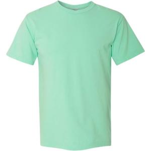 imageComfort Colors Mens Adult Short Sleeve Tee Style 1717Mint