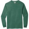 imageComfort Colors Unisex Adult Long Sleeve Tee Style 6014Light Green