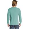imageComfort Colors Unisex Adult Long Sleeve Tee Style 6014Sea Green