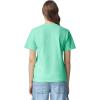 imageComfort Colors Adult Short Sleeve Tee Style 1717Island Reef 1pack
