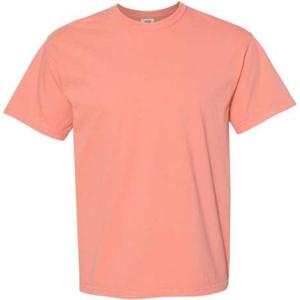 imageComfort Colors Adult Short Sleeve Tee Style 1717Terracota