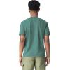 imageComfort Colors Mens Adult Short Sleeve Tee Style 1717Light Green 1pack