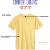 imageComfort Colors Mens Adult Short Sleeve Tee Style 1717Light Green 1pack