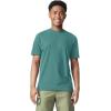 imageComfort Colors UnisexAdult Short Sleeve Tee Style G1717Seafoam 2pack