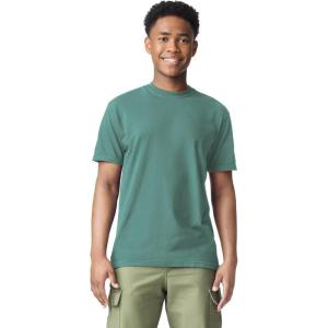 imageComfort Colors UnisexAdult Short Sleeve Tee Style G1717Light Green 1pack