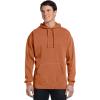 imageComfort Colors 95 oz GarmentDyed Pullover HoodBlack