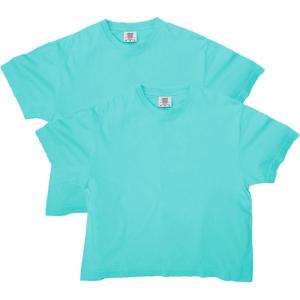 imageComfort Colors Womens Heavyweight Boxy Style G3023CL TShirt 2PackChalky Mint